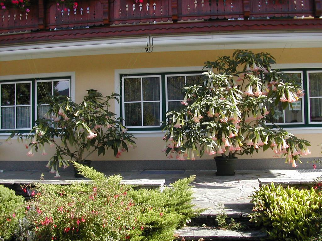 Pension Salzburger Hof Fuschl am See Exterior photo